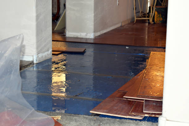 Professional Basement Flood Cleanup technician working in Titusville, FL